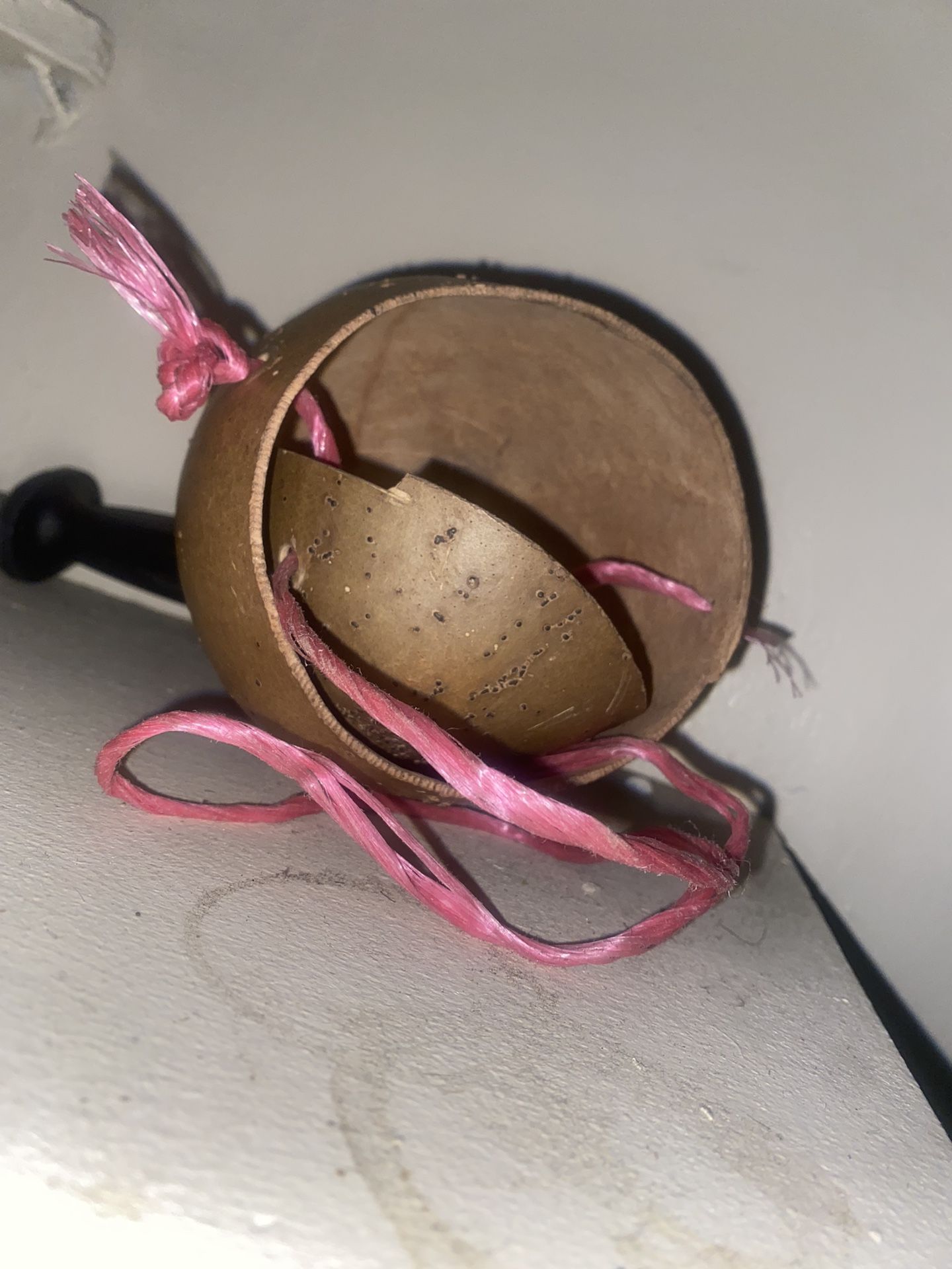 Gourd Ready To Go/ Guira Listo