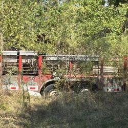 Trailer And Toolboxes 