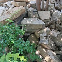 FREE STONE 
