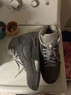 Grey wolfs