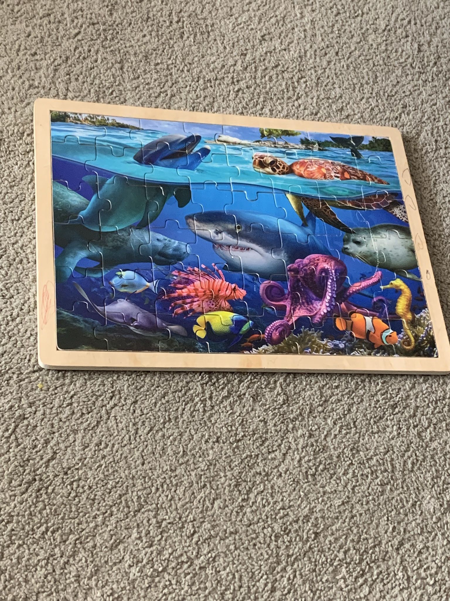 Aquarium Wooden Puzzle