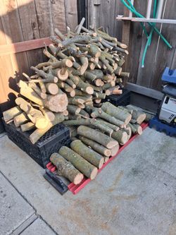 Fire Wood Must Go!