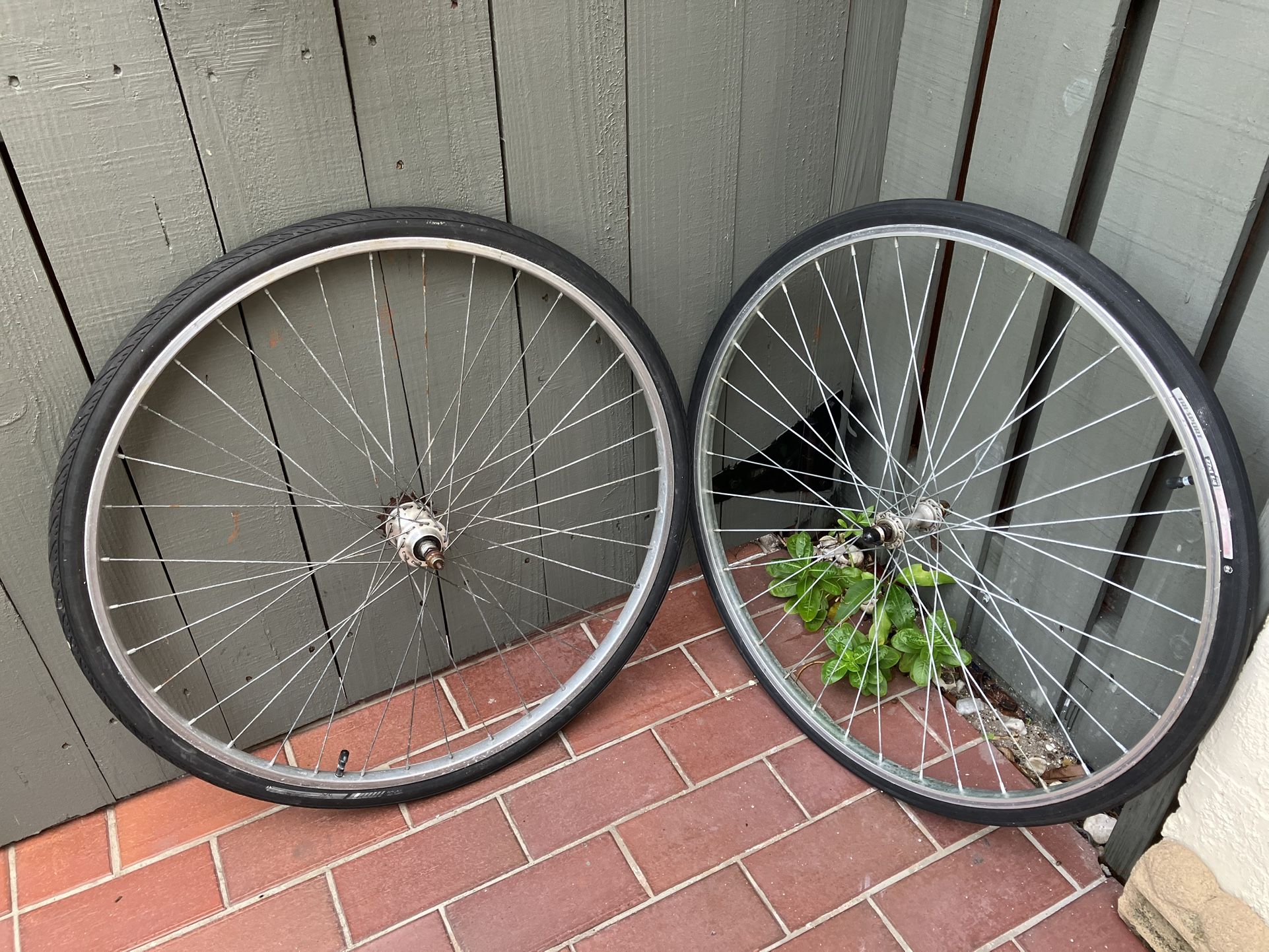 Bike Rims