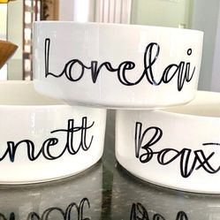 Custom Dog Bowls 