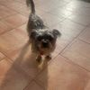 Nicky 