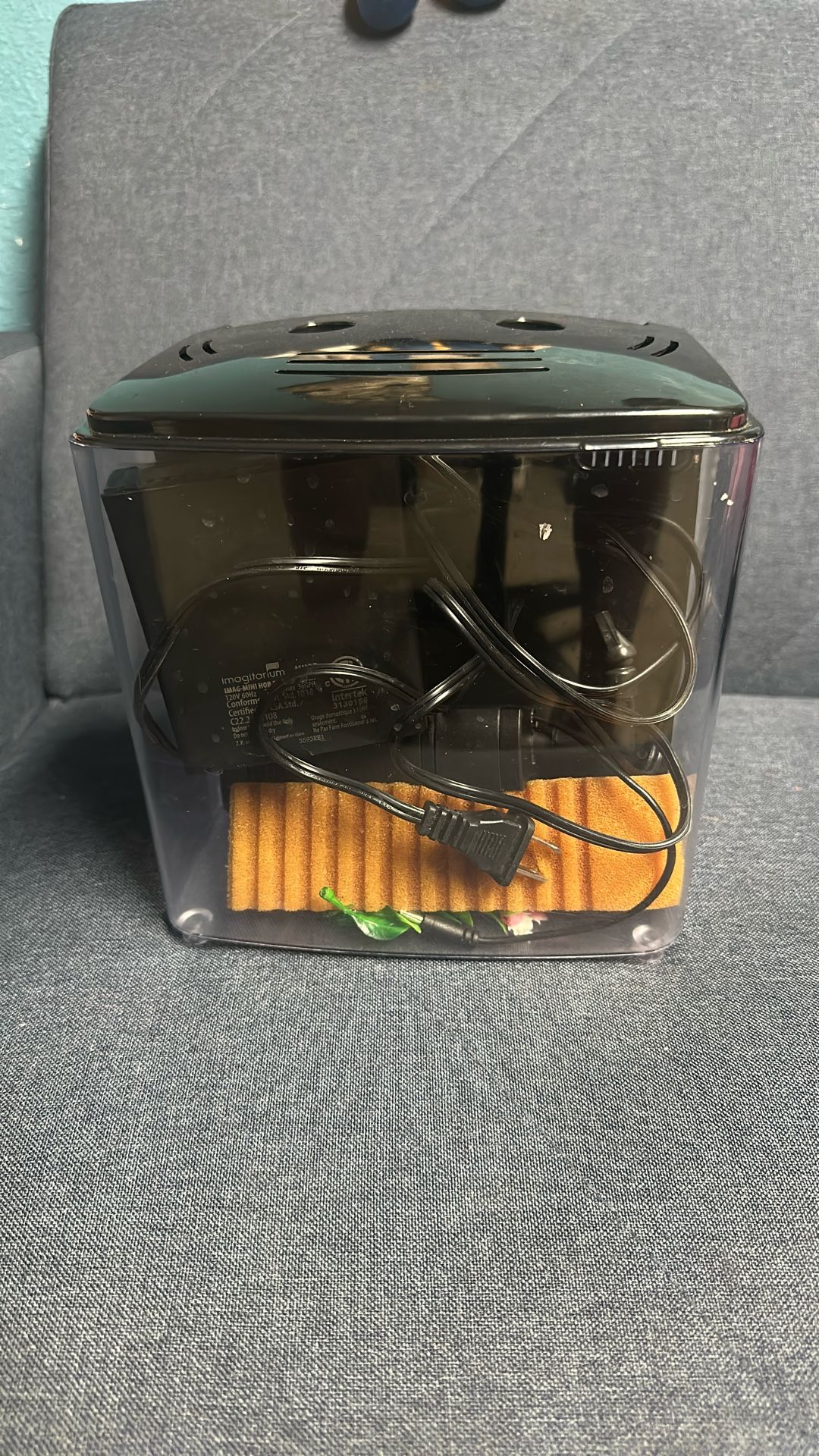 Small Aquarium