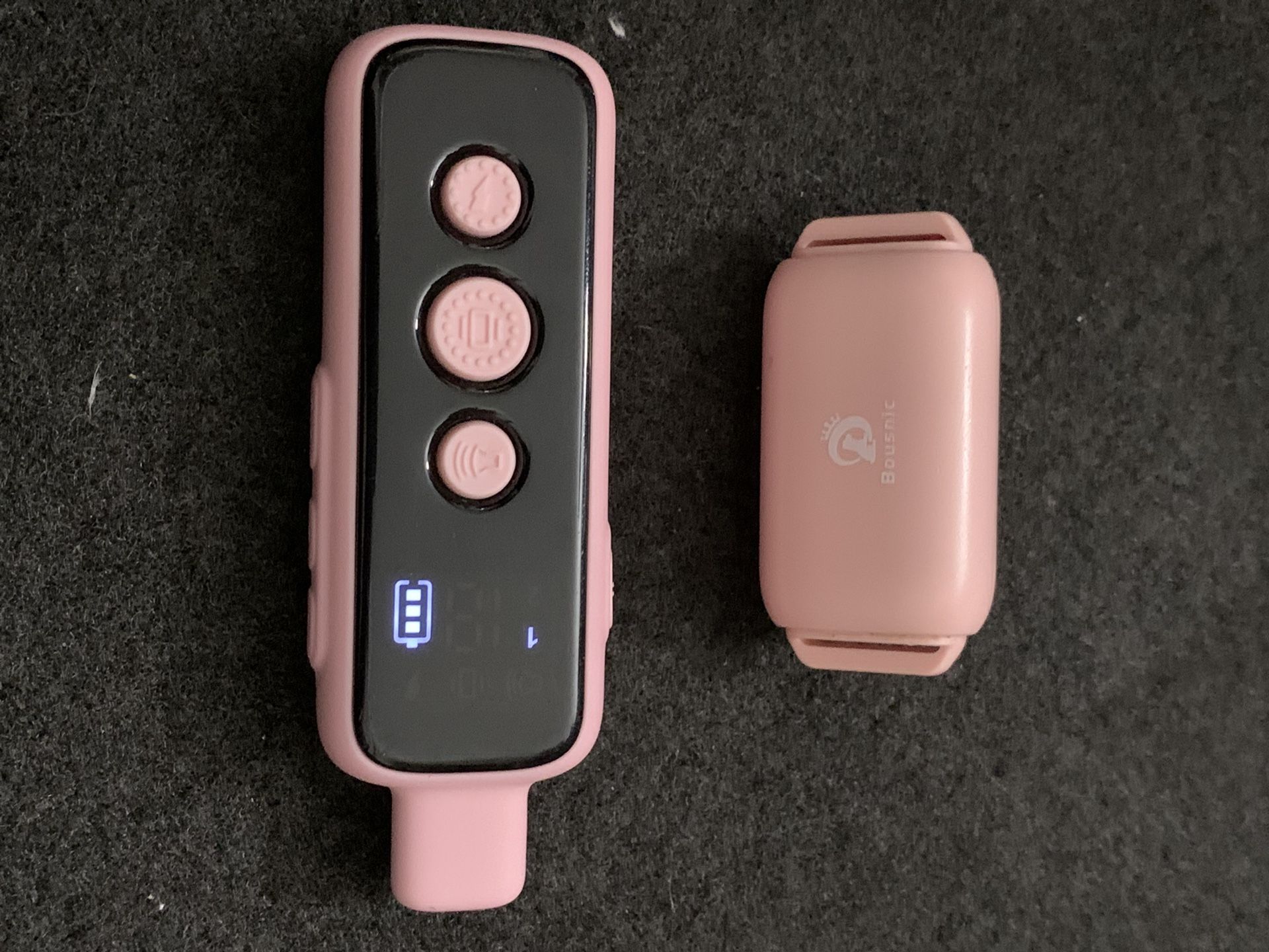 Pet Training Collar