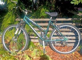 Bike Mountain Bike Size 24