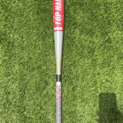 Weighted Training Bat 