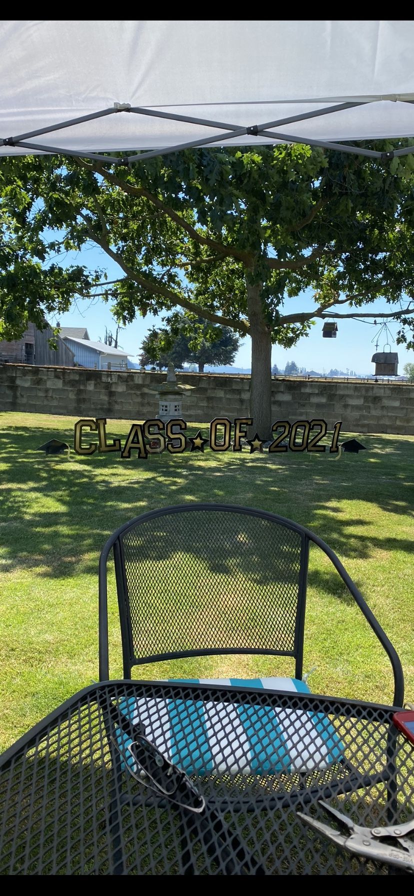  Graduation Yard Decor