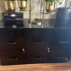 2 Drawer File Cabinet