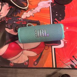 JBL Flip 6 Speaker