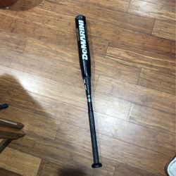 Baseball Bat 