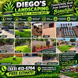Sod and turf