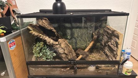 Reptile enclosure