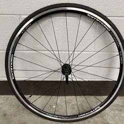 Tommaso 700c Rear Wheel