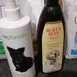 for your pet  
