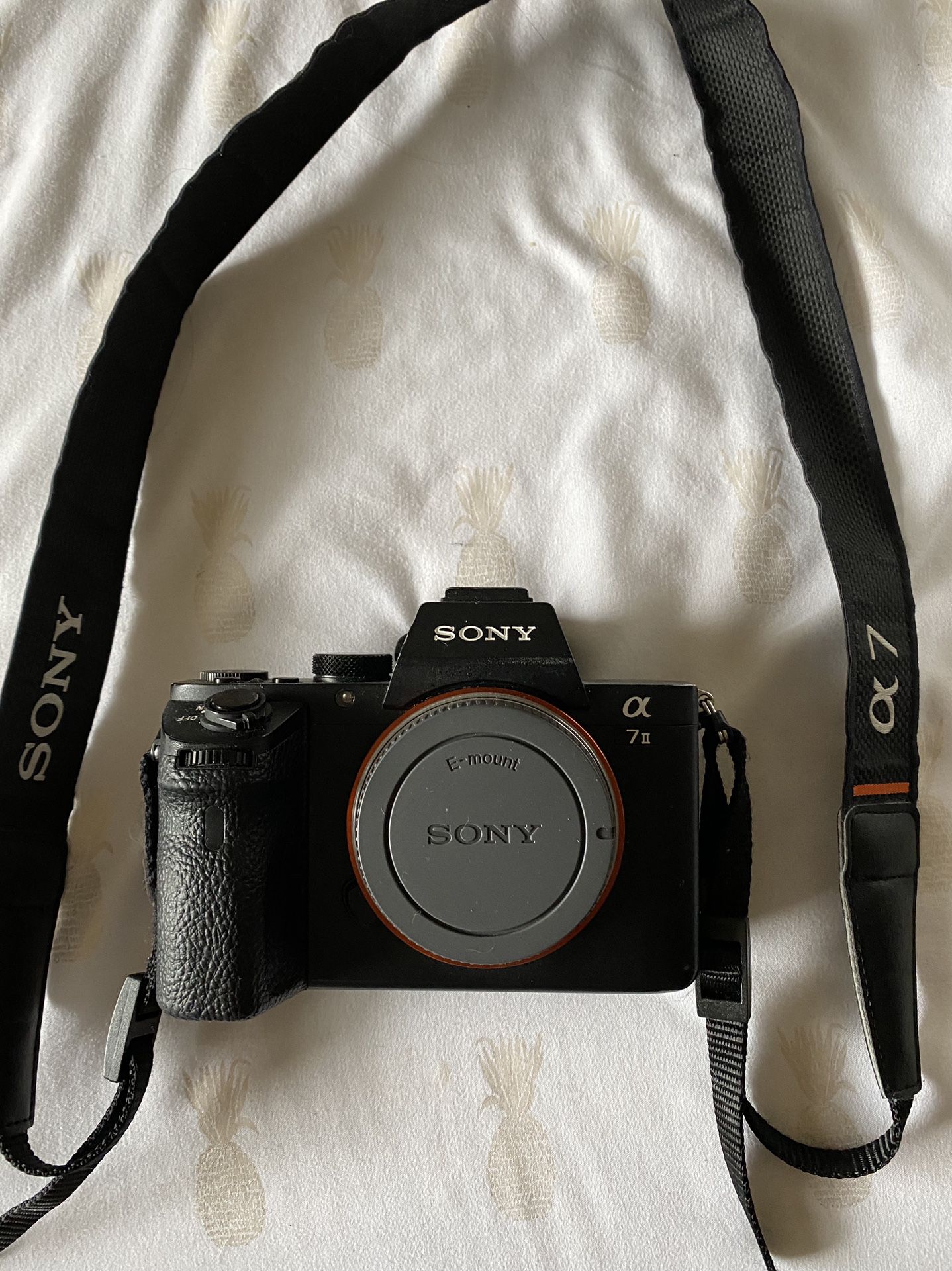 Sony a7ii with 2 batteries