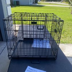PET CRATE AND CARRIER 