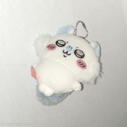 Chiikawa & Sanrio Items