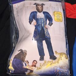 Beauty And The Beast Costume