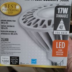 LED Flood Light Bulbs