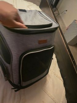 Cat Bag