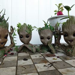 Succulent House Plants In Baby Groot Planters 