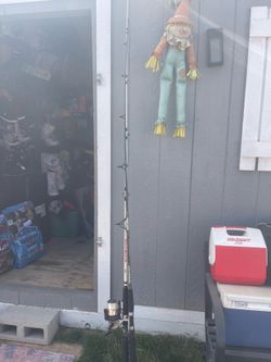 Fishing Poles And Net