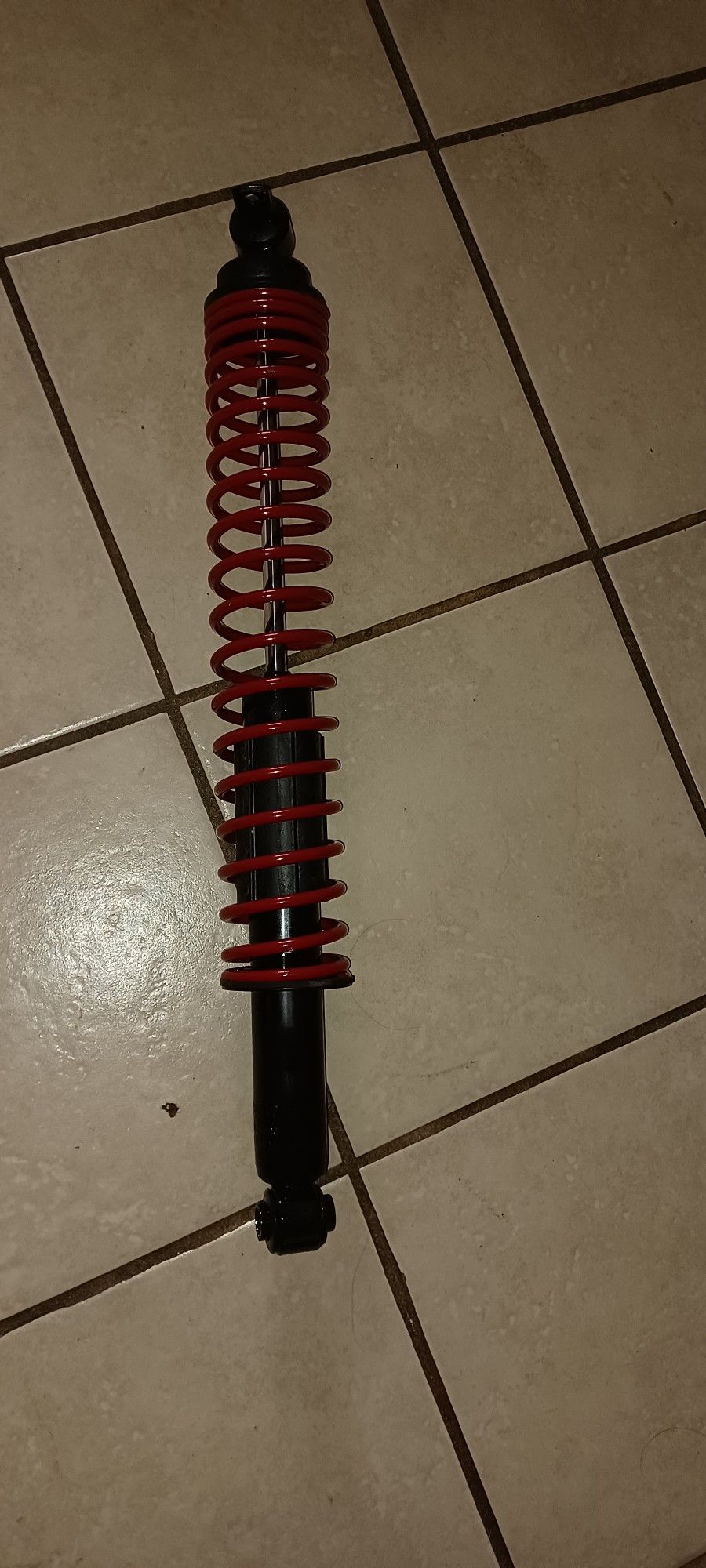 Rear Suspension Shocks