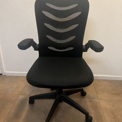 Office Chair, Black, Mesh