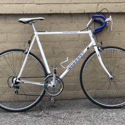 Bianchi Large Lugged Steel Frame 