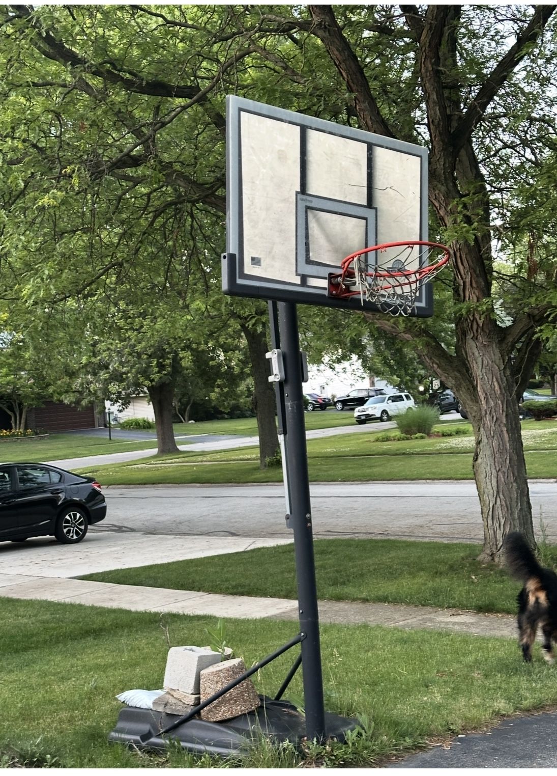Basketball Hoop Adjustable