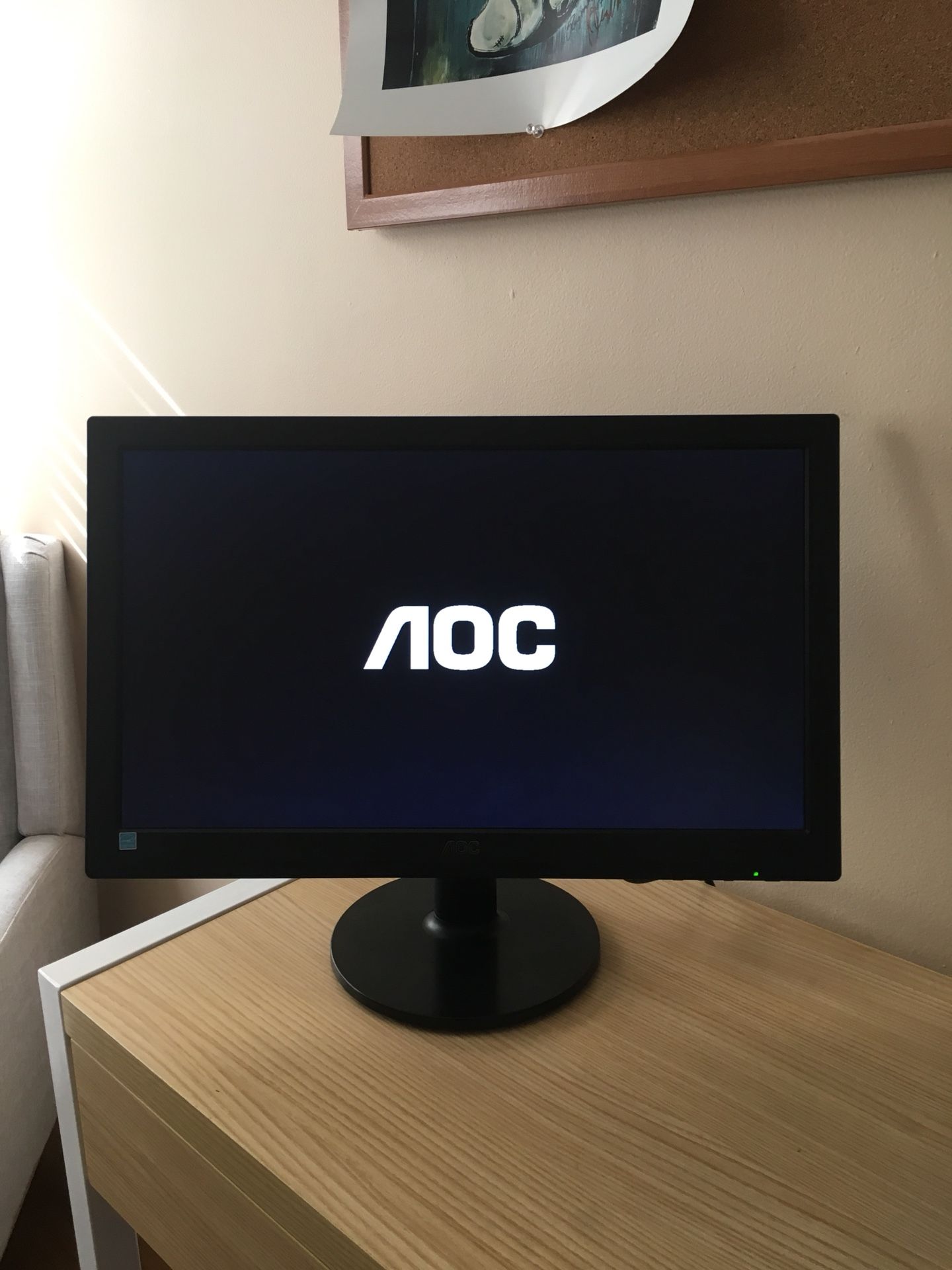AOC LED Monitor