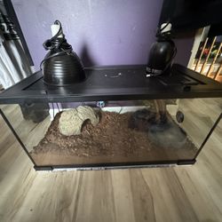 10 Gallon Reptile/Amphibian Enclosure