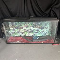 Fish tank ! 