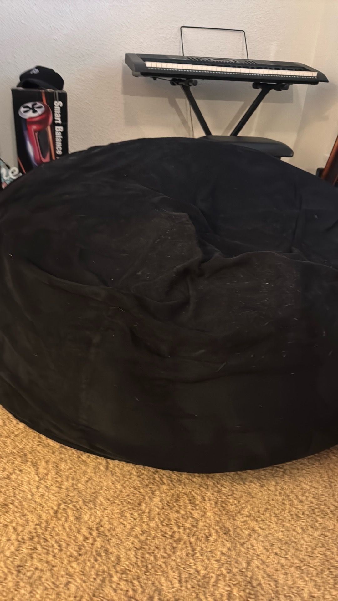 2 giant bean bags