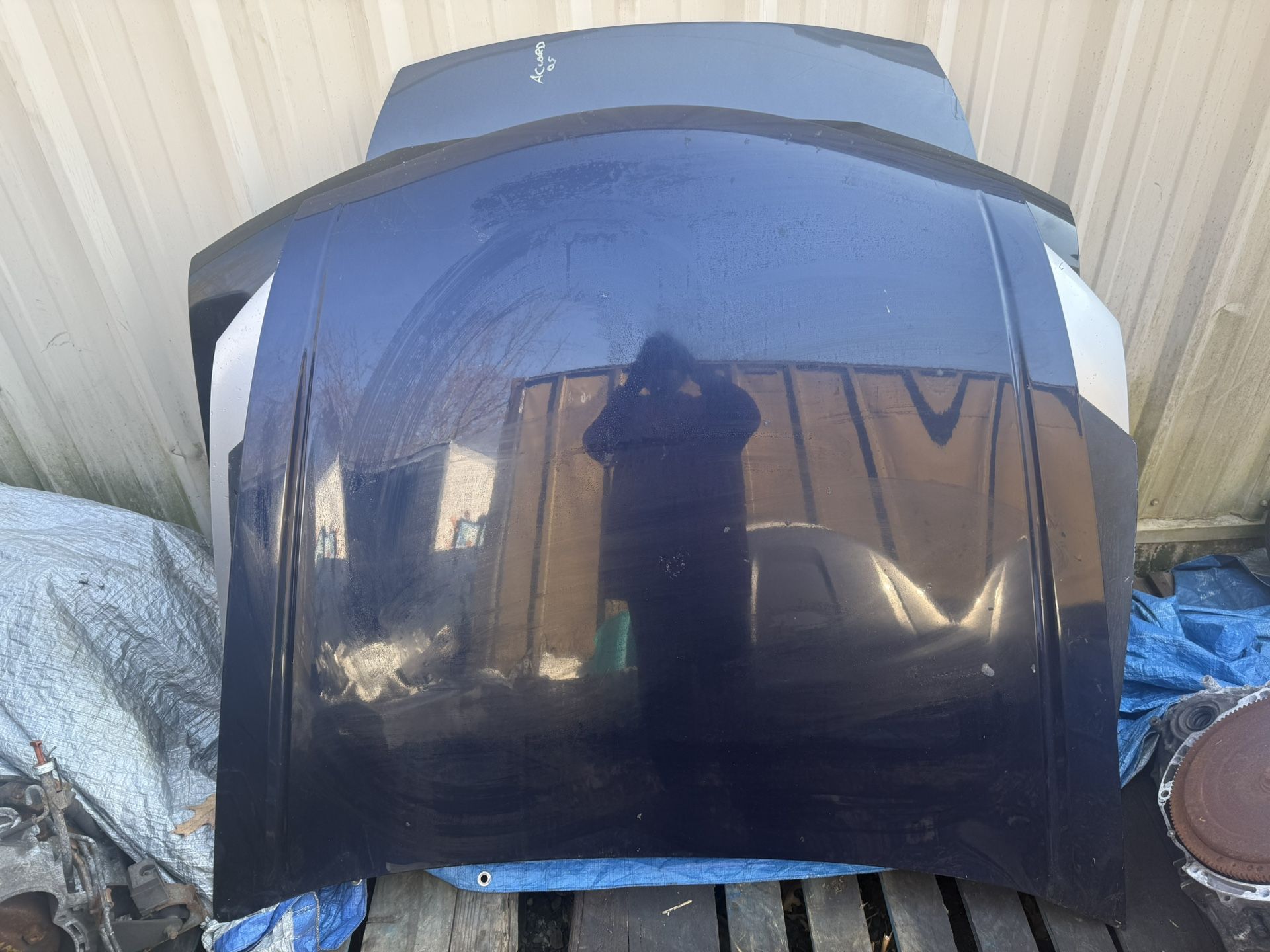 2009 Honda Accord Hood