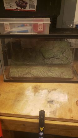 10g reptile tank