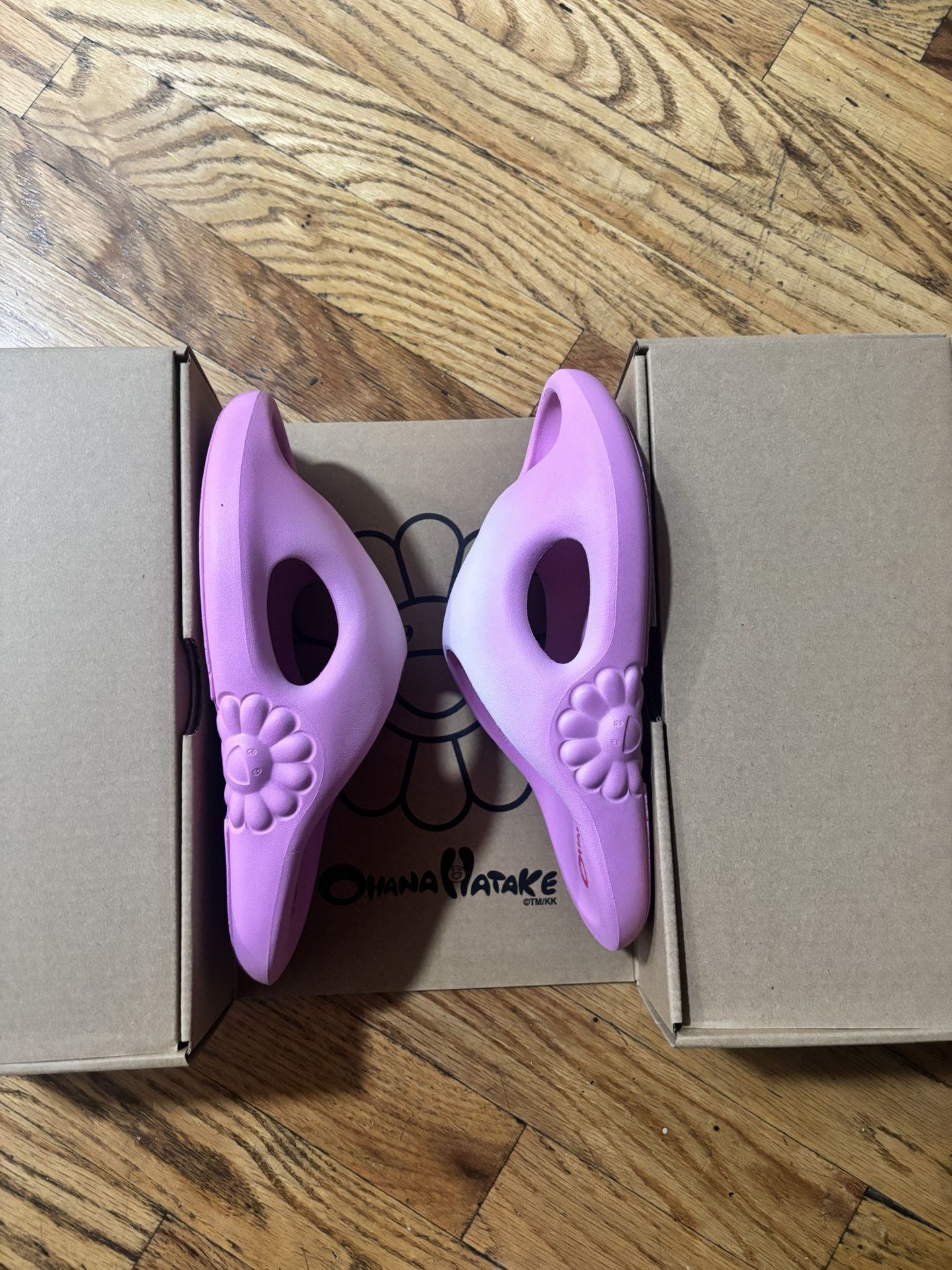 Takashi Murakami Slides