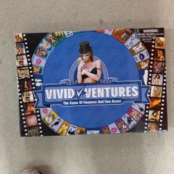 Vivid Venture Game