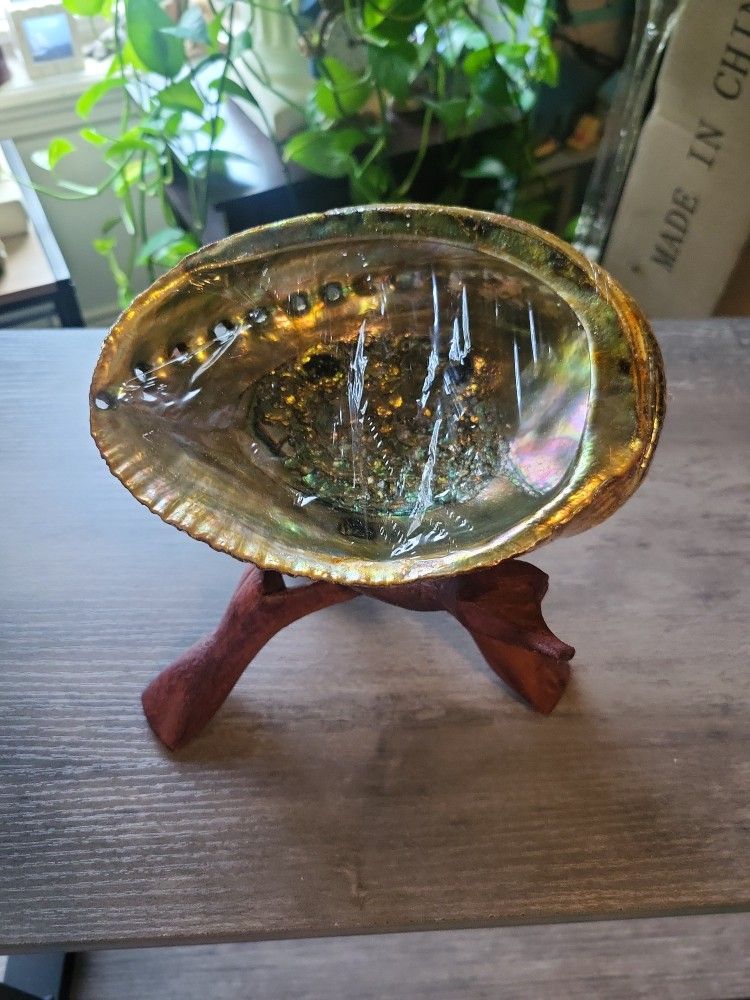 Abalone Shell With Stand