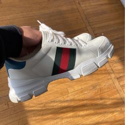 Gucci Sneakers 