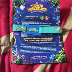 Beyond Wonderland 2-day GA