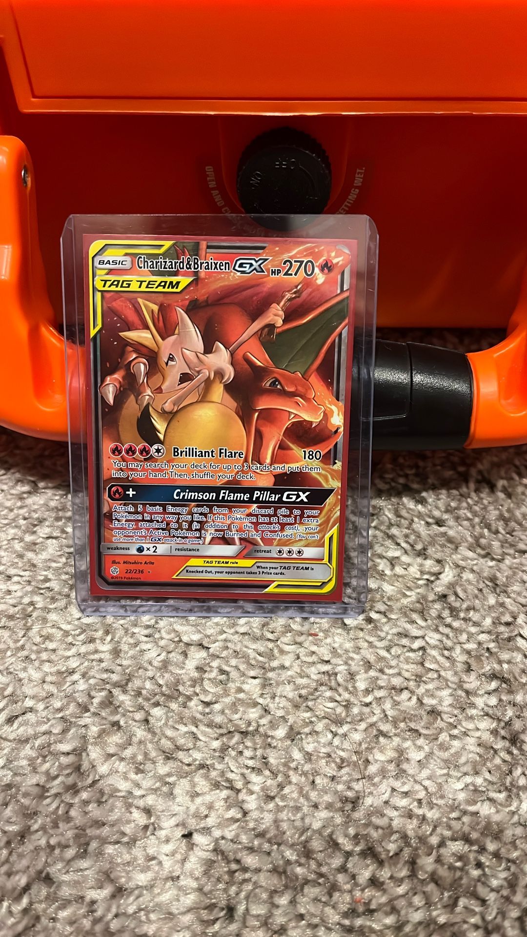 Charizard & Braixen