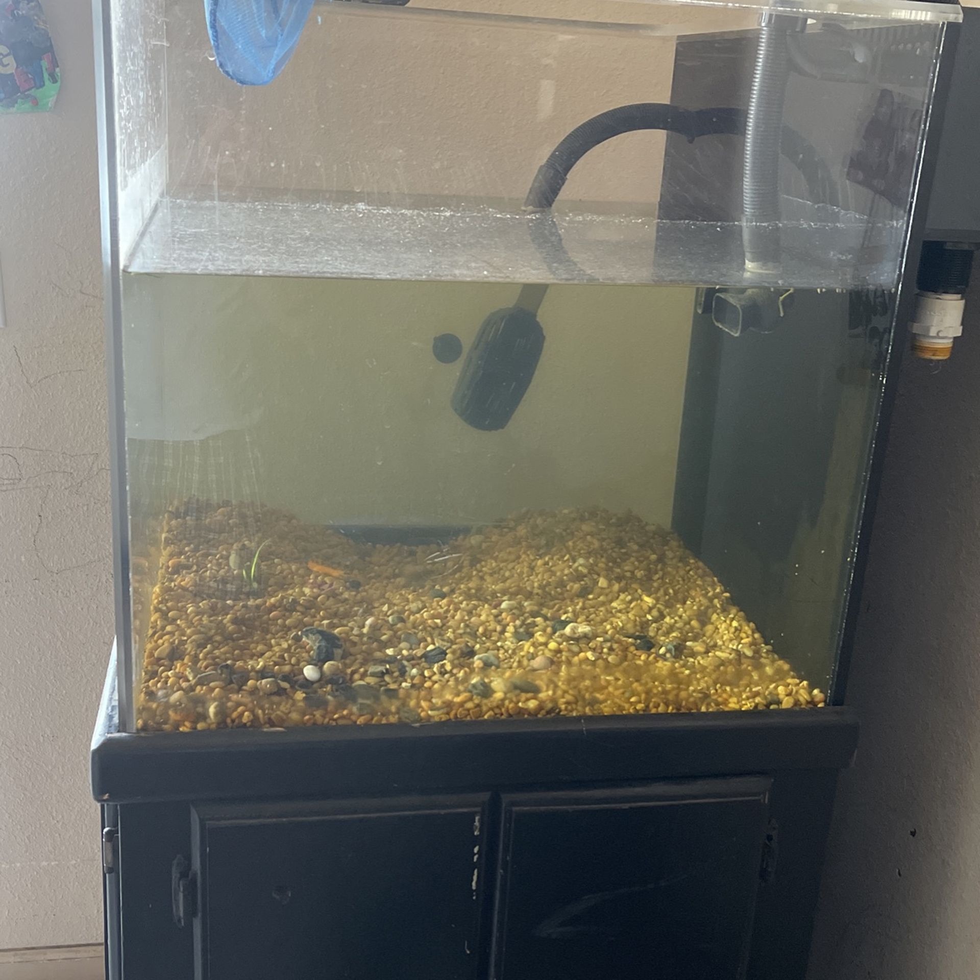 Fish Tank 50 Gallons