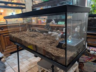 Reptile Tank