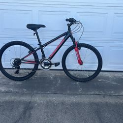 Mountain Bike. Nishiki