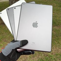 iPads 5 / 6 / 8 / Pro