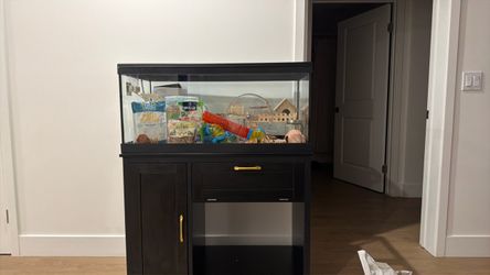 Hamster enclosure with everything